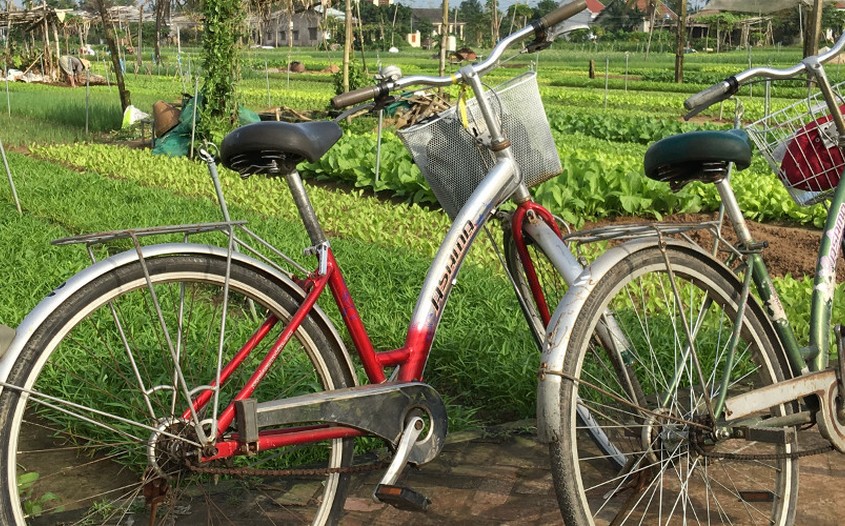 Hoi An Bicycle Tour 1 Day Tra Que Village